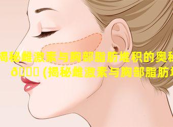 揭秘雌激素与胸部脂肪堆积的奥秘 🍁 (揭秘雌激素与胸部脂肪堆积的奥秘是什么)